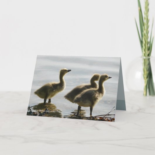 ライトの直面 カード (正面)