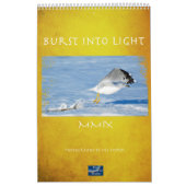 ライトの破烈 カレンダー (カバー)