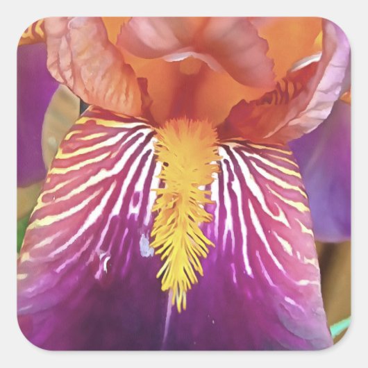 ライトアイリスマクロ芸術的抽象芸術 スクエアシール (正面)