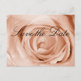 ライトアプリコット日付の保存 案内ポストカード