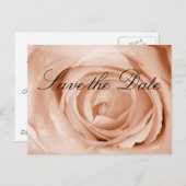 ライトアプリコット日付の保存 案内ポストカード (正面/裏面)