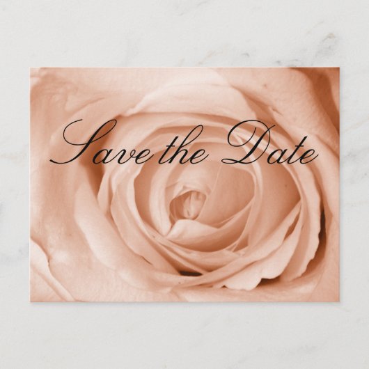 ライトアプリコット日付の保存 案内ポストカード (正面)