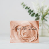 ライトアプリコット日付の保存 案内ポストカード (スタンド正面)