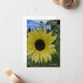 ライトイエローサンフラワー&ブルースカイ ノートカード (正面/裏面インサイチュ)