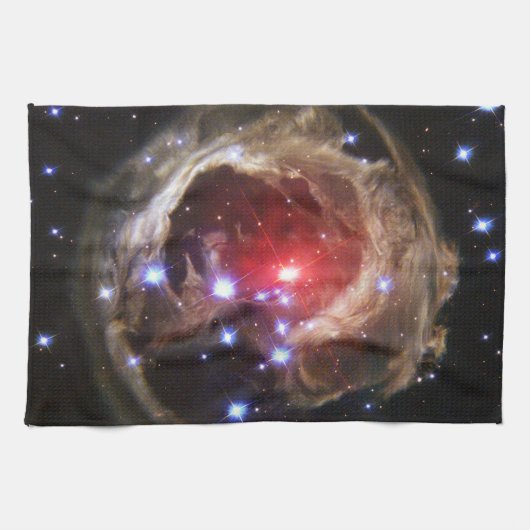 ライトエコータオル キッチンタオル (横)