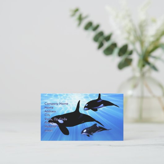 ライトエコー 名刺 (スタンド正面)