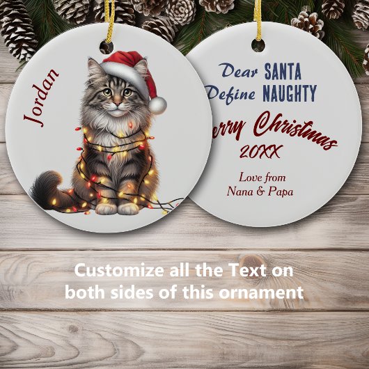 ライトクリスマス包まれたにノルウェーの森猫 セラミックオーナメント