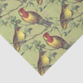 ライトグリーンカラフルで2羽の鳥を分離 薄葉紙 (詳細)