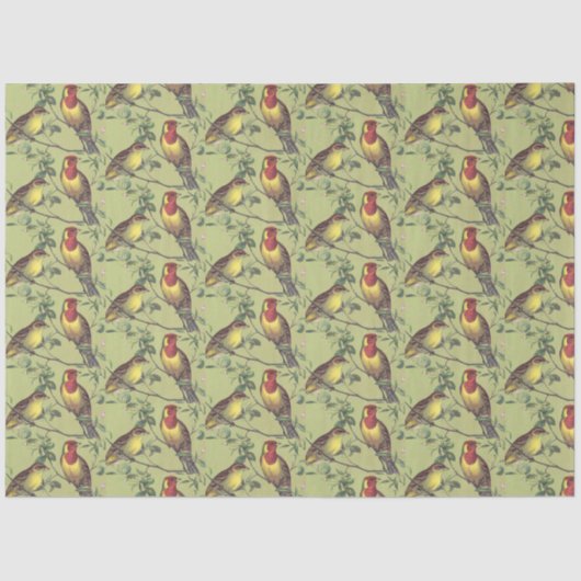 ライトグリーンカラフルで2羽の鳥を分離 薄葉紙 (正面)