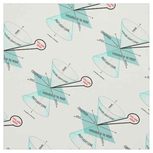 ライトコーン宇宙時間物理学 ファブリック (見本)