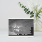 ライトショーモノクロ ポストカード (スタンド正面)