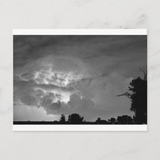 ライトショーモノクロ ポストカード