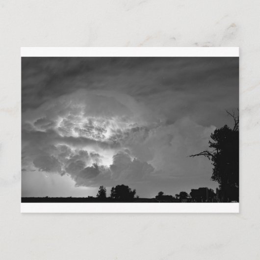 ライトショーモノクロ ポストカード (正面)