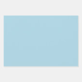 ライトスエレガントカイブルーミニマリストとシック ラッピングペーパーシート (正面)