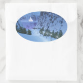 ライトステッカーのパス 楕円形シール (バッグ)