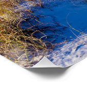 ライトズビルビーチデュネス ポスター (コーナー)