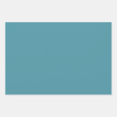 ライトト自然ーンとブルー ラッピングペーパーシート (正面2)