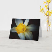 ライトノートカードに水仙の花 カード (黄色い花)
