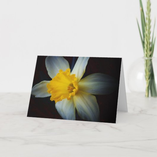 ライトノートカードに水仙の花 カード (正面)