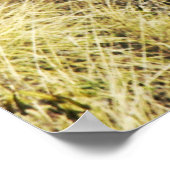 ライトハウスのダイヤモンドヘッドトップビュー3 ポスター (角)