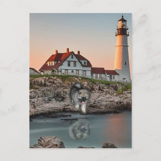 ライトハウスの反射 ポストカード (正面)