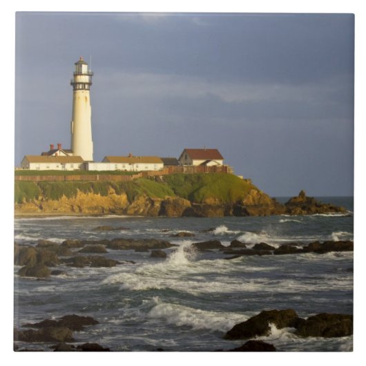 ライトハウスアットピジョンポイント州ビーチインサン2 タイル (正面)