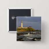 ライトハウスアットピジョンポイント州ビーチインサン2 缶バッジ (正面&裏面)