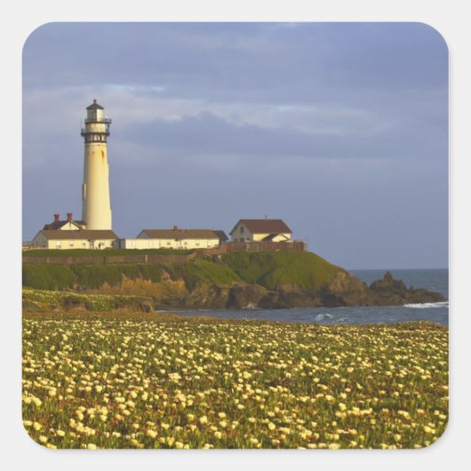 ライトハウスアットピジョンポイント州ビーチインサン スクエアシール (正面)