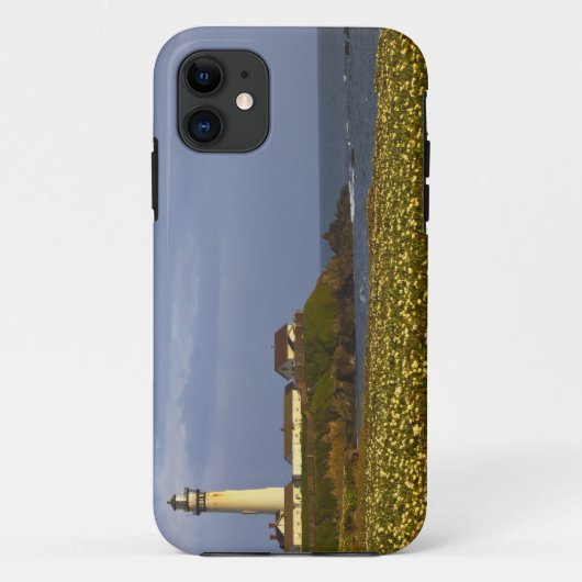 ライトハウスアットピジョンポイント州ビーチインサン Case-Mate iPhoneケース (裏面)