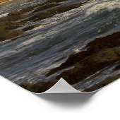 ライトハウスアットピジョンポイント州ビーチインSan 2 ポスター (角)