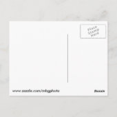 ライトハウスアットペギーズコーブ ポストカード (裏面)