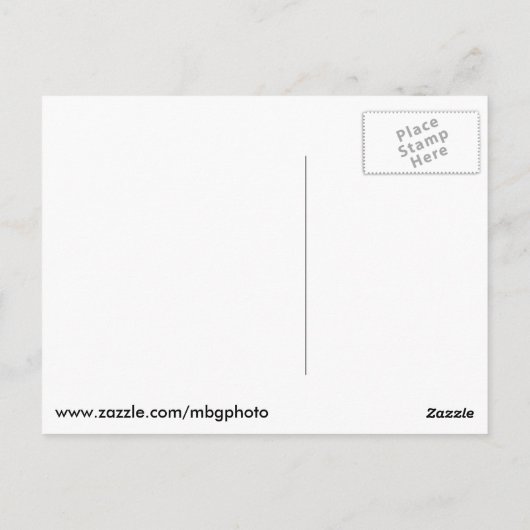 ライトハウスアットペギーズコーブ ポストカード (裏面)