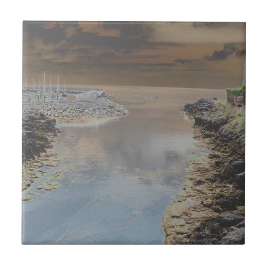 ライトハウスインカスカイスポルトガル タイル (正面)