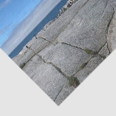 ライトハウスオンペギーズコーブティッシュペーパー 薄葉紙 (詳細)