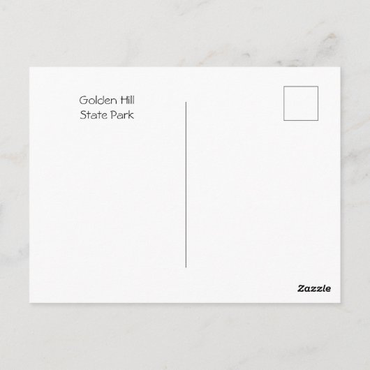 ライトハウスタワー ポストカード (裏面)