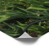 ライトハウスフラワーズ&海プリント ポスター (角)