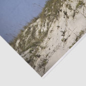 ライトハウスポンスインレットブルースカイビーチ風景 薄葉紙 (詳細)