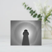 ライトハウス・エフェクト - 白黒 (スタンド正面)