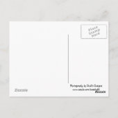 ライトハウス – カウアイ、ハワイ ポストカード (裏面)