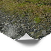 ライトハズルズリザーバー ポスター (コーナー)