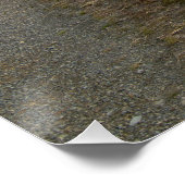 ライトハズルズリザーバー ポスター (コーナー)