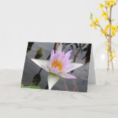 ライトパープルウォーターリリーカード カード (黄色い花)