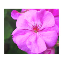 ライトパープルゼラニウムメタルプリント メタルプリント