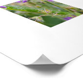 ライトパープルゼラニウムワイルドフラワー植物写真 ポスター (角)