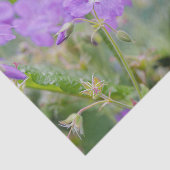 ライトパープルゼラニウムワイルドフラワー植物写真 薄葉紙 (詳細)