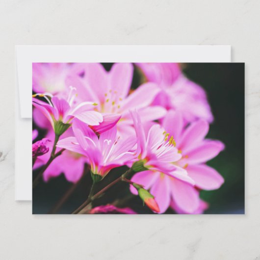 ライトピフェミニンンク花の写真自然 ノートカード (正面)