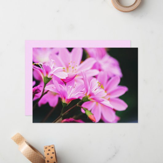 ライトピフェミニンンク花の写真自然 ノートカード (正面/裏面インサイチュ)