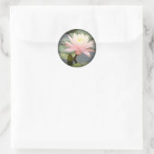 ライトピンクのスイレンが黒の丸いステッカーにフェード ラウンドシール (バッグ)