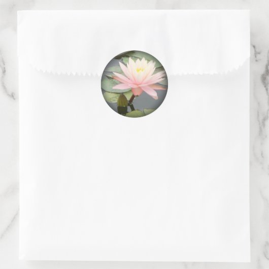 ライトピンクのスイレンが黒の丸いステッカーにフェード ラウンドシール (バッグ)