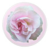 ライトピンクバラオンピンクフローラ セラミックノブ (正面)